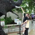 Cian Kennefick, 11, lifts his brother, Finn Kennefick, 9, allowing him to touch the tusk of Nomkhubu...