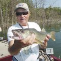 The black bass weren’t cooperative, but Dr. Jim Wolfe of Rogers didn’t mind at all that walleye were...