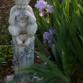 St. Francis of Assisi, patron saint of animals and the environment, has a secluded spot in Cromwell’...