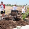 ‘TEAM GREEN DAY’ - Zach Pace, 13, wheels in another load of mulch Saturday while he and about a doze...