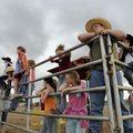 Children watch a team roping demonstration before getting a chance to perform a mock branding Thursd...