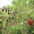 STREAM WORK - Stuart Fulbright, Fayetteville resident and landscape architect, right, hands a privet...