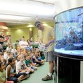 Biologist Scott Nigemann explains the origins of the exotic fish Tuesday in the 150-gallon reef aqua...