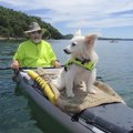 Eric Esche of Monte Ne and his passenger, Chloe, kayak on Sunday in the Rocky Branch area of Beaver ...