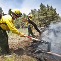 Bob Urban from the Beaver Valley Fire Department works a hot spot on the line at the Schultz Fire bu...