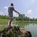 Brenda Harris of Springdale fishes Wednesday at Lake Springdale. The lake and its walking trail will...
