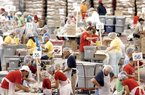 Volunteers diligently fill bags with food on Saturday inside the Randal Tyson Track Center in Fayetteville during the Razorback Relief Operation Haiti.