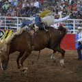 Bobby Mote of Culver, Ore., rides Wild Flower in the bareback riding competition at the Rodeo of the...