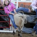 HANGING ON - Ashlynn Patrick, 6, tries to hang on to a sheep Thursday during the Mutton Bustin’ comp...