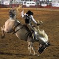  Alex Wright of Virgen, Utah, rides Jacob in the saddle bronc competition Thursday during the Rodeo ...