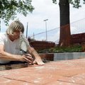 Carmon Humphrey, with Designer Tile and Top, evens out paving bricks for a sidewalk along Second Str...