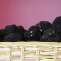 Truffles are prized for their earthy, nutlike aroma which adds a unique flair to upscale pasta and g...