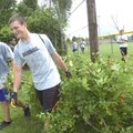 Rogers High School football player Brett Gentz drags brush from a fence line Tuesday at Dock Wheeler...