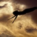 A Fayetteville-based counselor finds his clients’ dreams fall into two main subgroups: unexpressed e...