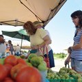 JUST BROWSING - Cha Lee, from left, talks Saturday with Pam Pickett and her husband and daughter, Pa...