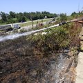 Rogers firefighters Brent Rush, left, and Rob Starek mop up the remains of a brush fire Tuesday betw...