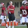 Commentary: It's Petrino's turn for support at Arkansas