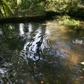 Tatum Springs in Washington County north of Winslow, seen here Wednesday, is the main source of wate...