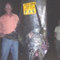 Phillip Schoeppe of Bella Vista poses next to the 735-pound blue marlin he caught from the Pacific O...
