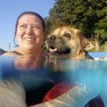 Shandi Turknett swims with her dog, Sweetie, at the Lake Atalanta Park pool in Rogers on Wednesday e...