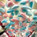 Ryan Smith of Milwaukee, left, and Bernadette Candelaria of Albuquerque, N.M., look to make room to ...