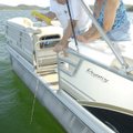 Deanna Fletcher with the Arkansas Master Naturalists helps Greta Cooper of Rogers spin a water trivi...