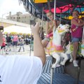 Terri McKinney, left, takes a photo Aug. 29, 2009, of her daughter, Katlyn McKinney, right, and her ...