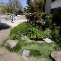 The Locke Memorial Garden was installed on the west side of Kimpel Hall to honor John Locke, a Unive...