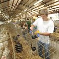 Volunteer Marshall Kuhlman passes out ribbons Wednesday to winners in the poultry division at the Wa...