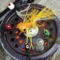 Popping bugs come in an array of colors and sizes. Larger bugs are generally used to target black ba...