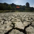 The exposed, cracked clay bed of Lake Bella Vista bakes in the sun Thursday after more than a month ...