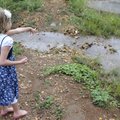 Emma Carter, 7, of Rogers, throws bread Thursday into flowing rainwater outside the Congregation Etz...
