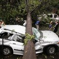 Residents in the Park Slope neighborhood in the Brooklyn circle around a car crushed by a fallen tre...