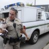 Animal Shelter Busiest In Area