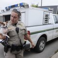 Sarah Sears, a Washington County deputy and animal control officer, carries a dog Thursday to the Fa...