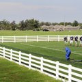 Har-Ber High School football players practice Wednesday.

