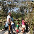 Students at Temple Shalom build a sukkah Sept. 19. The sukkah is a temporary structure used to remin...