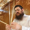 Rabbi Mendel Greisman weaves palm leaves together in his sukkah in Rogers. He will eat all his meals...