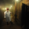 Jesse Pierce, co-owner of the Ozark Mountain Smokehouse in Fayetteville, examines the smoke vault at...