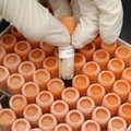 FILE - In this Oct. 22, 2008 file photo, research associate Crystal Pacutin pulls a frozen vial of h...