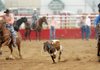 Lucas Sheets of Siloam Springs High School, left, and Brett Jones of Fayetteville High School take part in the team roping competition during the Arkansas High School Rodeo Association’s event Saturday in Parsons Stadium in Springdale. Jones and Sheets received a no time in the event.