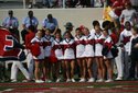 hogs-focus-032