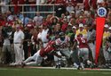 hogs-focus-037