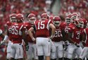 hogs-focus-041