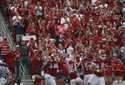 hogs-focus-042