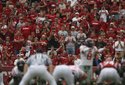hogs-focus-048