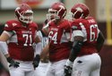 hogs-focus-054