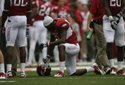 hogs-focus-055
