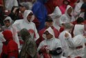 hogs-focus-068