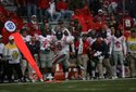 hogs-focus-078